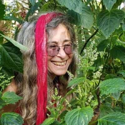 Robin Rose - expert channel